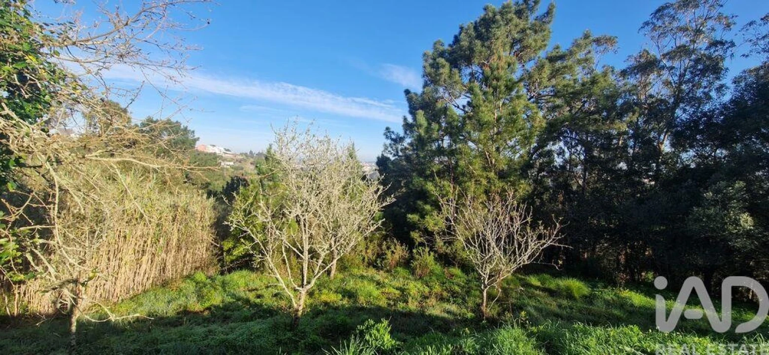 Terreno para Venda em Mafra Foto 12