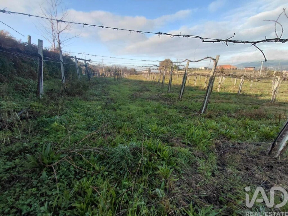 Terreno para Venda em Messegães, Valadares e Sá Foto 2