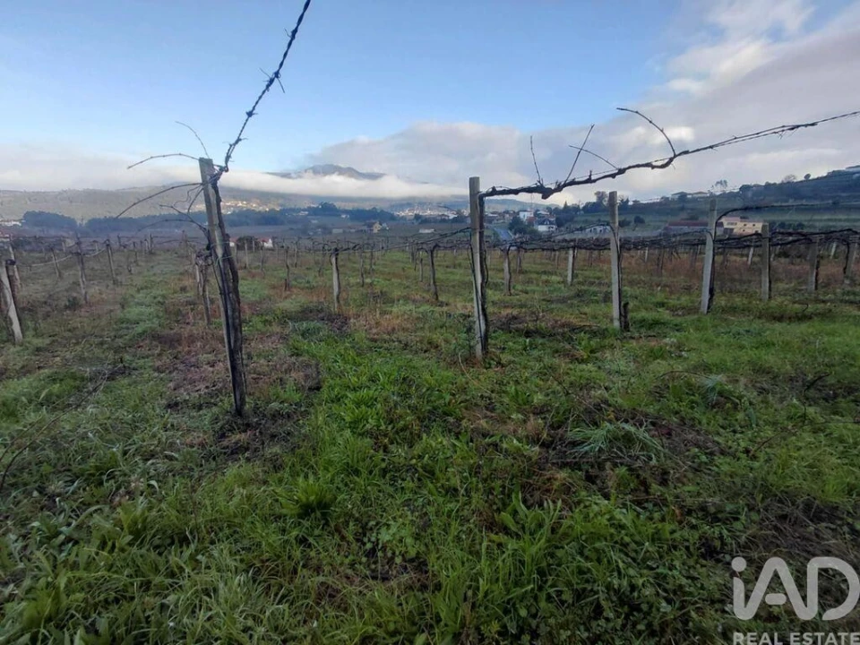 Terreno para Venda em Messegães, Valadares e Sá Foto 4