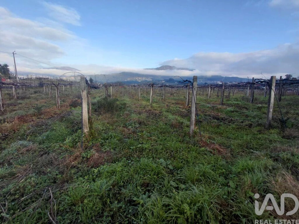 Terreno para Venda em Messegães, Valadares e Sá Foto 3
