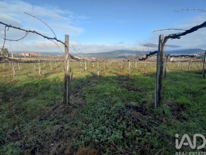 Terreno para Venda em Messegães, Valadares e Sá Foto 5