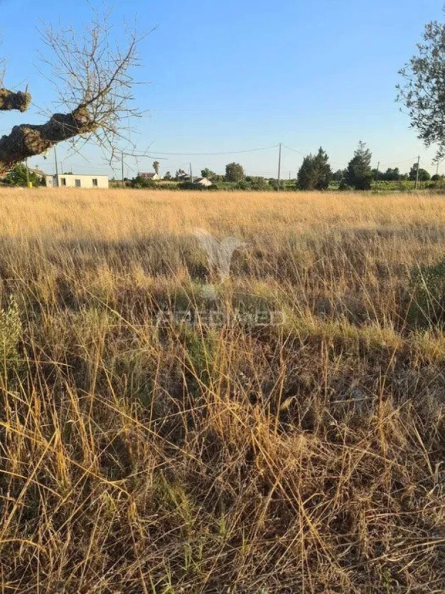 Terreno para Venda em Palmela Foto 2