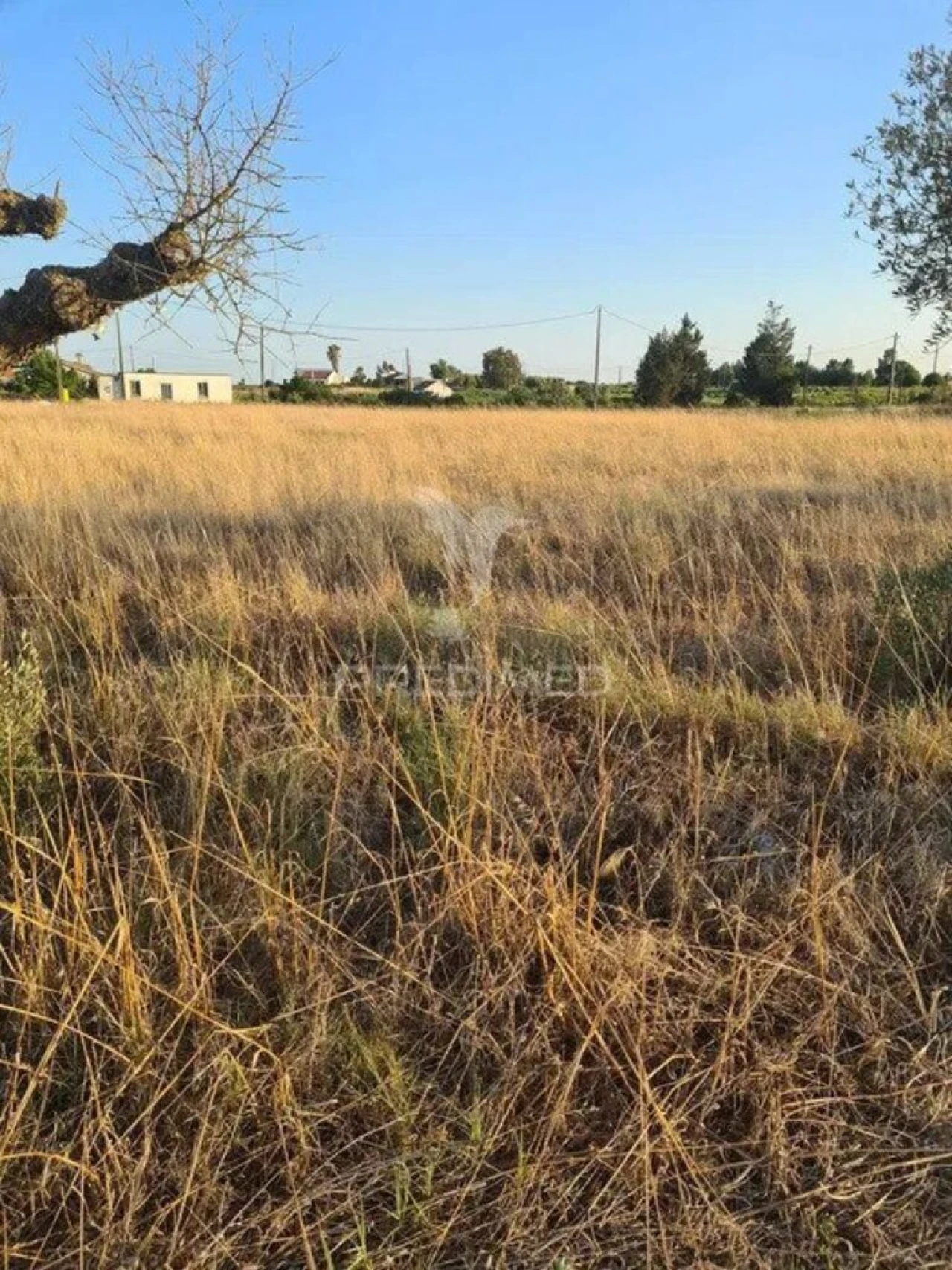 Terreno para Venda em Palmela Foto 2