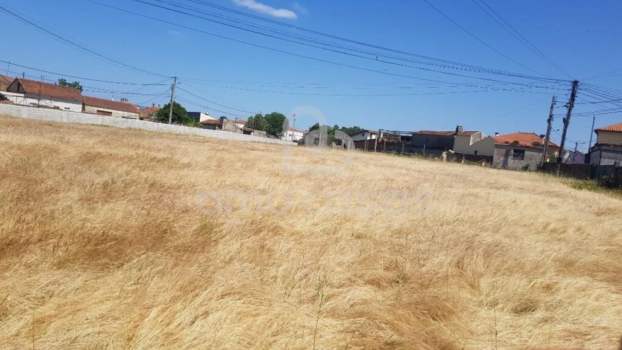 Terreno para Venda em Beduído e Veiros Foto 8