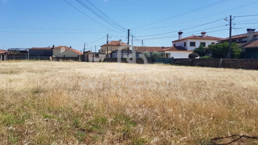 Terreno para Venda em Beduído e Veiros Foto 9