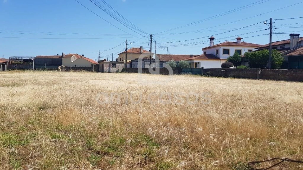 Terreno para Venda em Beduído e Veiros Foto 9