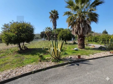 Moradia T4 para Venda em Achete, Azoia de Baixo e Póvoa de Santarém