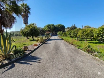 Moradia T4 para Venda em Achete, Azoia de Baixo e Póvoa de Santarém