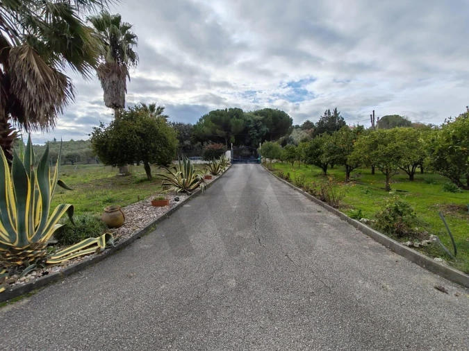 Quinta T4 para Venda em Achete, Azoia de Baixo e Póvoa de Santarém Foto 36