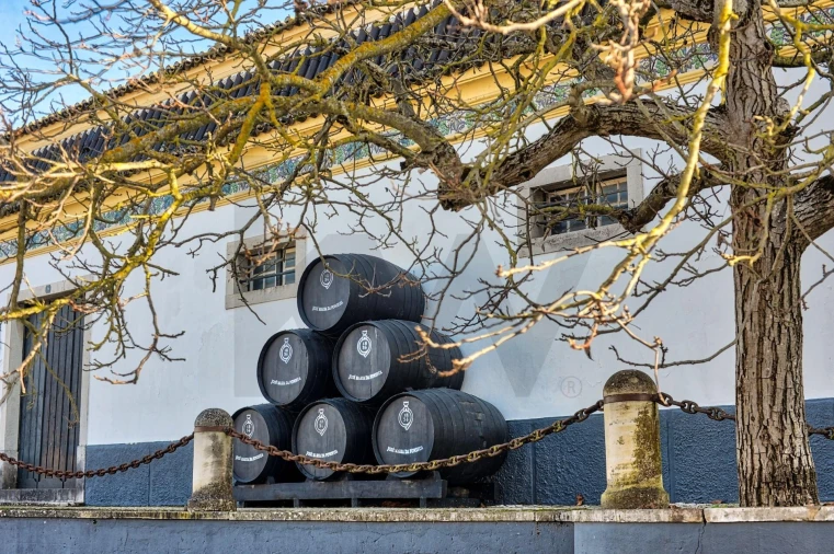 Moradia T4 para Venda em Azeitão (São Lourenço e São Simão) Foto 56