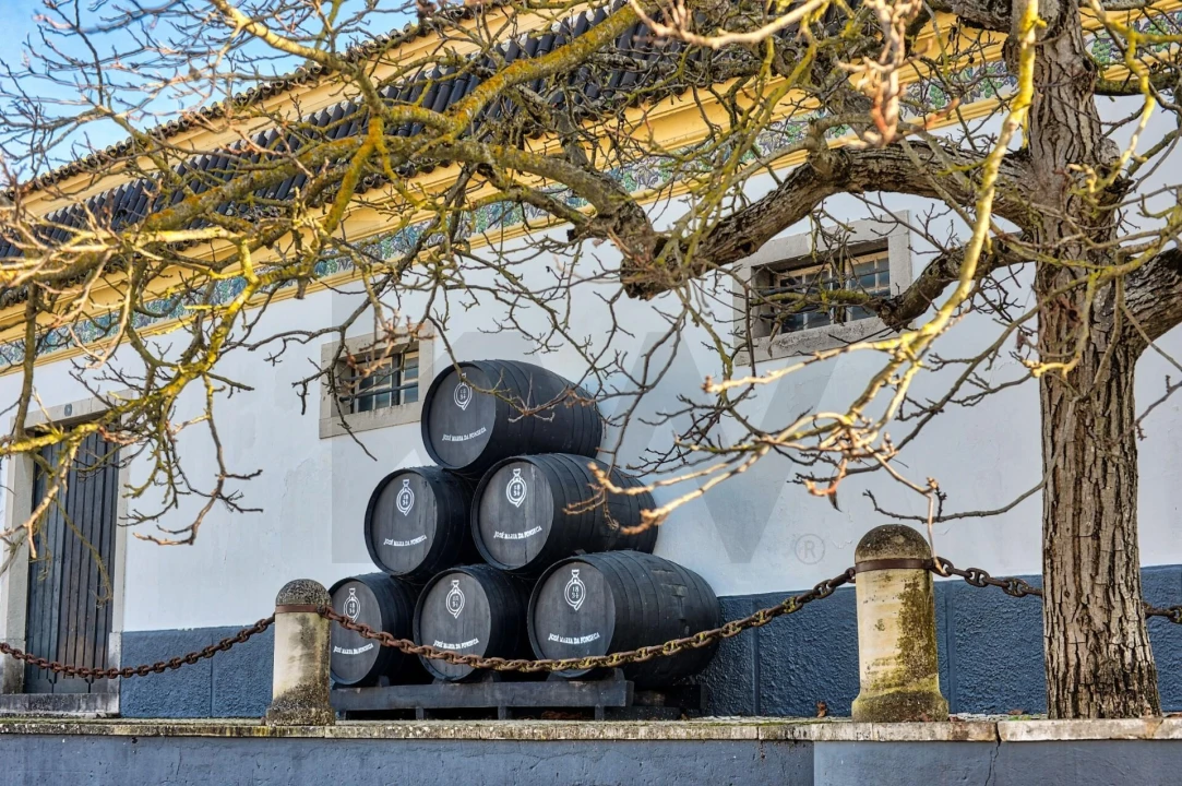 Moradia T4 para Venda em Azeitão (São Lourenço e São Simão) Foto 56