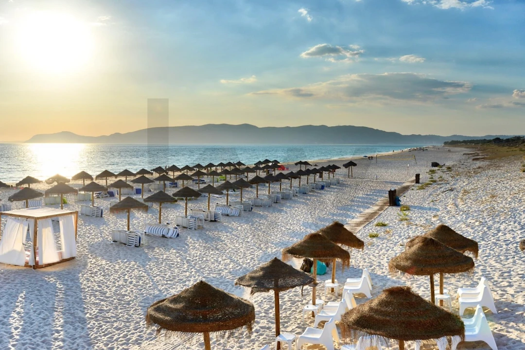 Moradia T4 para Venda em Azeitão (São Lourenço e São Simão) Foto 58