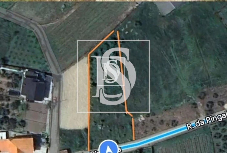 Terreno para Venda em Ferreirim Foto 2