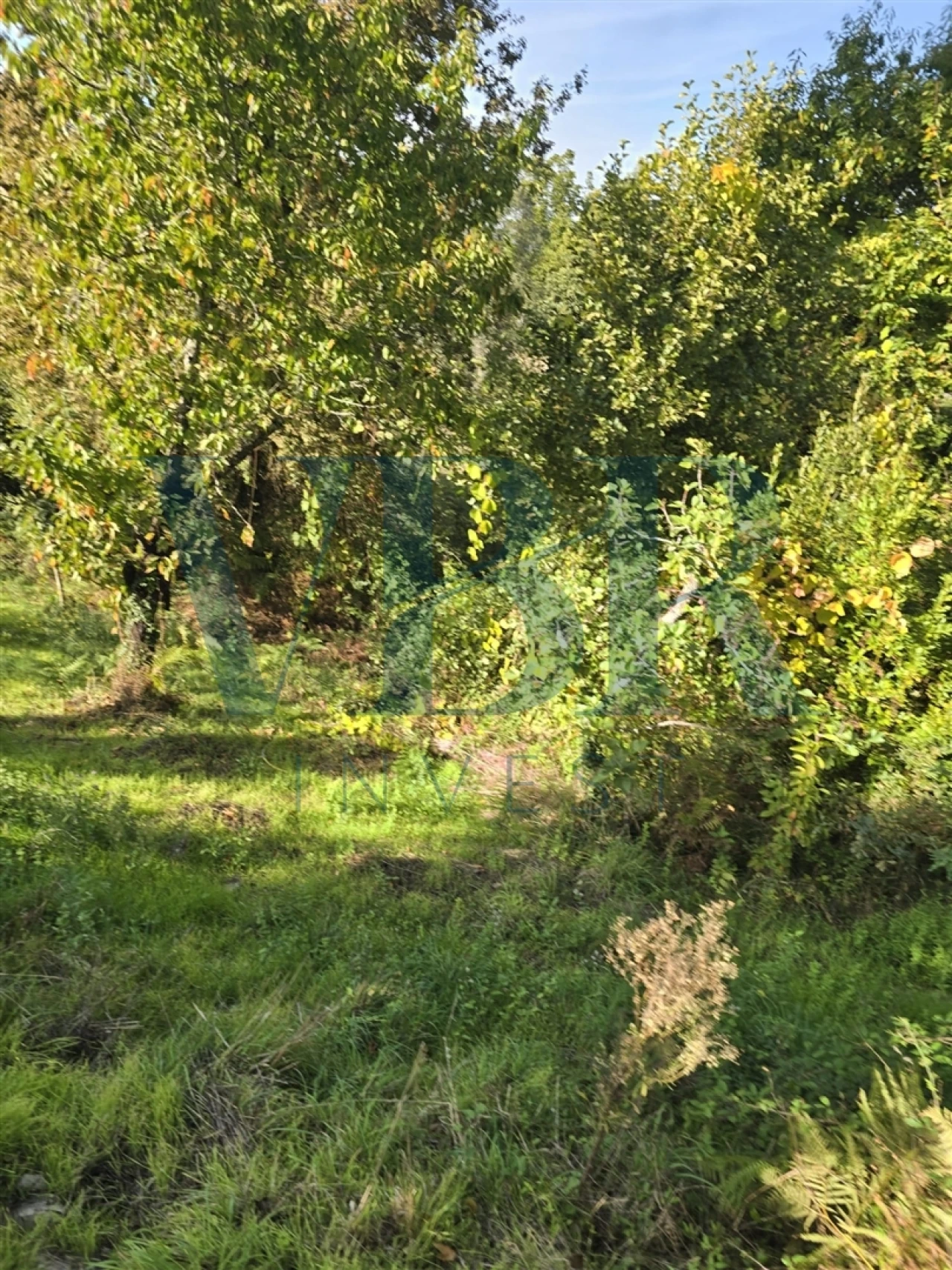 Moradia T3 para Venda em Santa Lucrécia de Algeriz e Navarra Foto 4