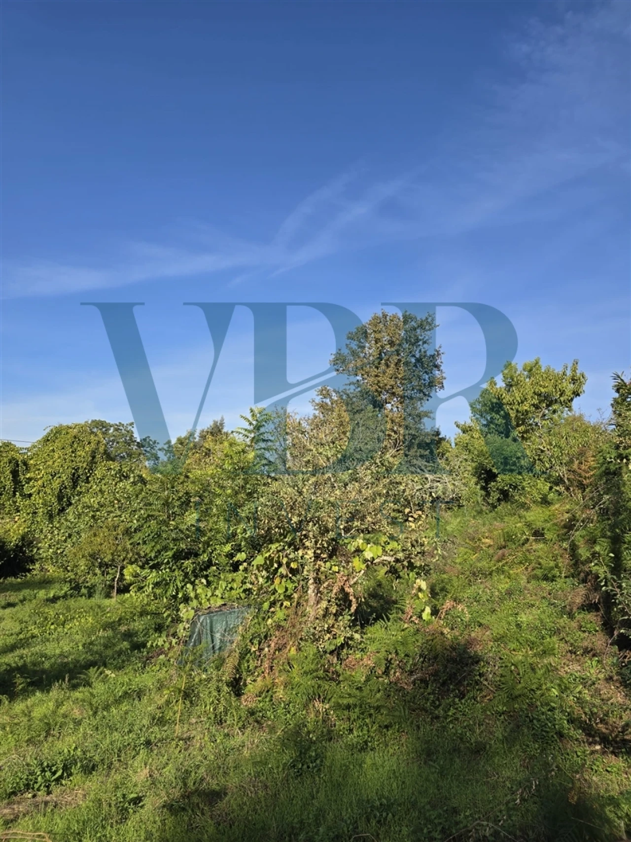 Moradia T3 para Venda em Santa Lucrécia de Algeriz e Navarra Foto 5