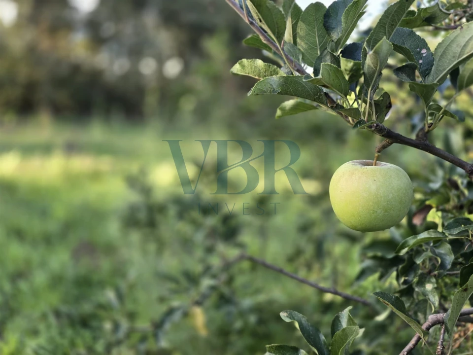 Moradia T3 para Venda em Santa Lucrécia de Algeriz e Navarra Foto 2