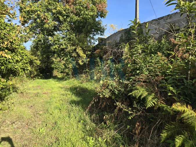 Moradia T3 para Venda em Santa Lucrécia de Algeriz e Navarra Foto 3