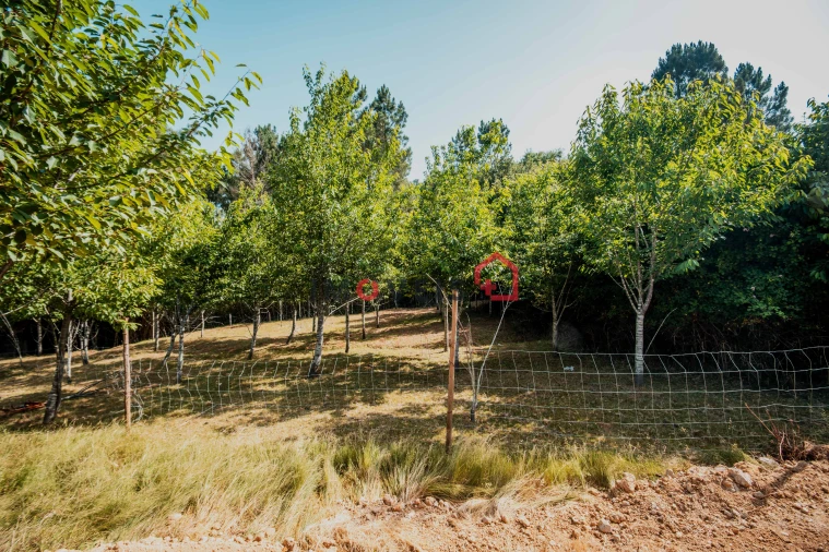 Moradia T3 para Venda em Leiria, Pousos, Barreira e Cortes Foto 17