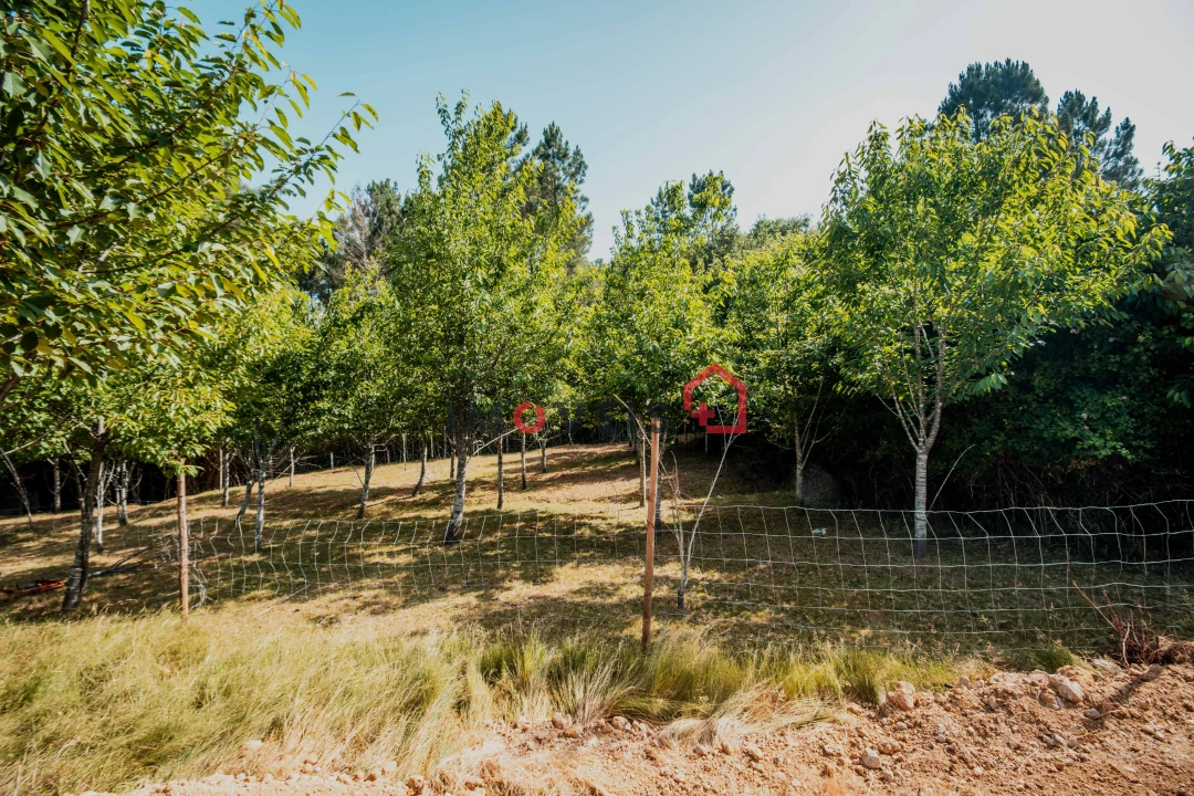 Moradia T3 para Venda em Leiria, Pousos, Barreira e Cortes Foto 17