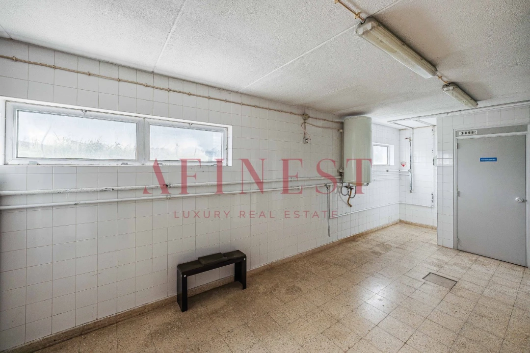 Armazém para Arrendamento em Santa Maria e São Miguel, São Martinho, São Pedro Penaferrim Foto 3