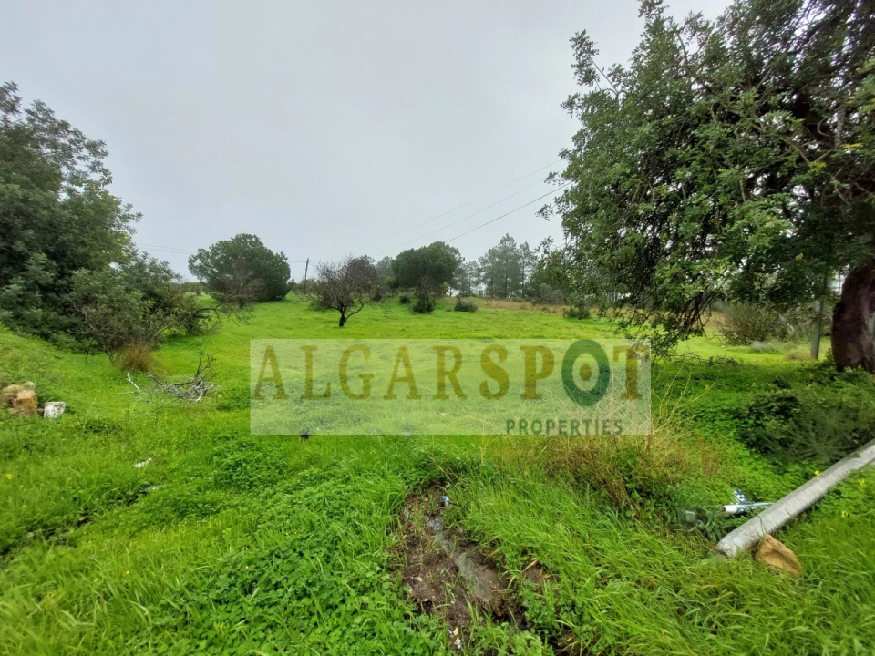 Terreno para Venda em Loule (São Sebastião) Foto 2