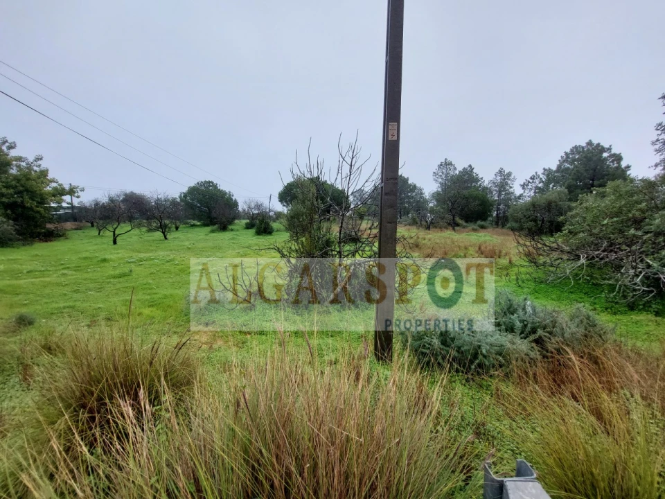 Terreno para Venda em Loule (São Sebastião) Foto 3
