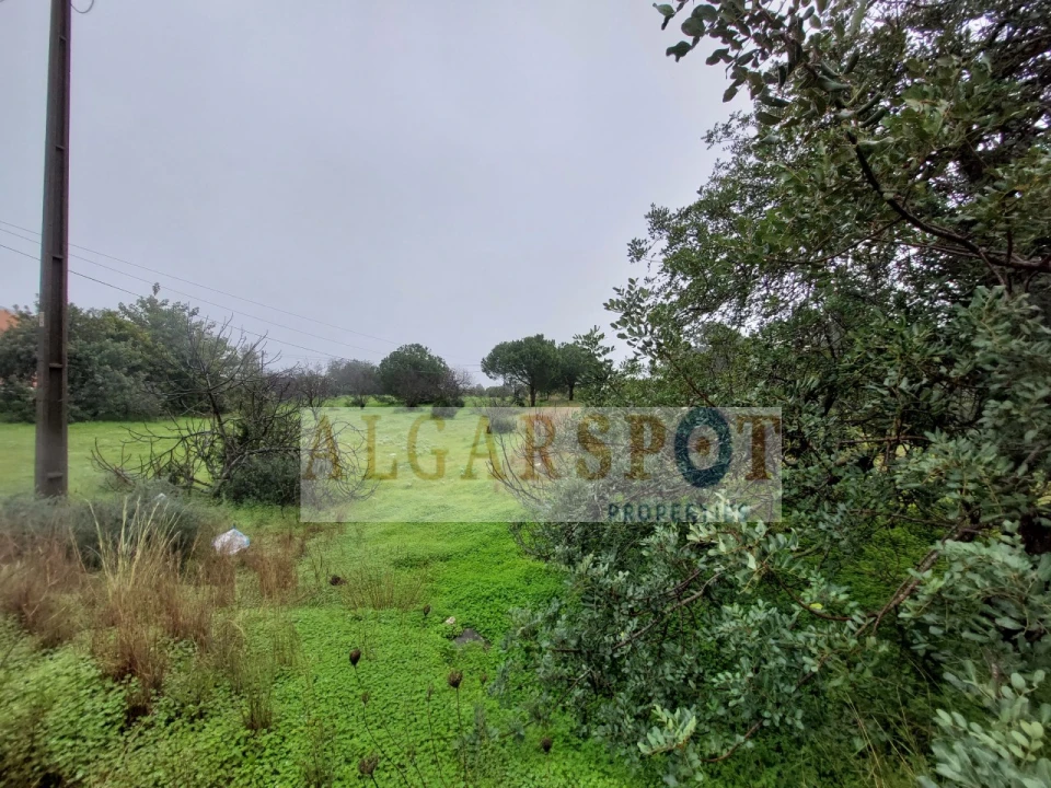 Terreno para Venda em Loule (São Sebastião) Foto 7