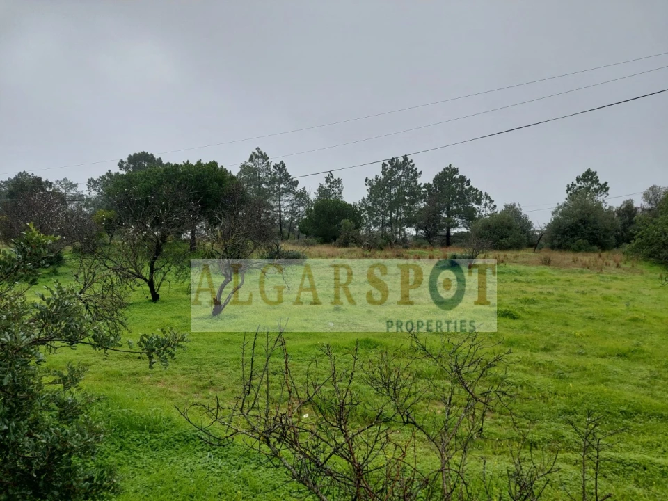 Terreno para Venda em Loule (São Sebastião) Foto 9