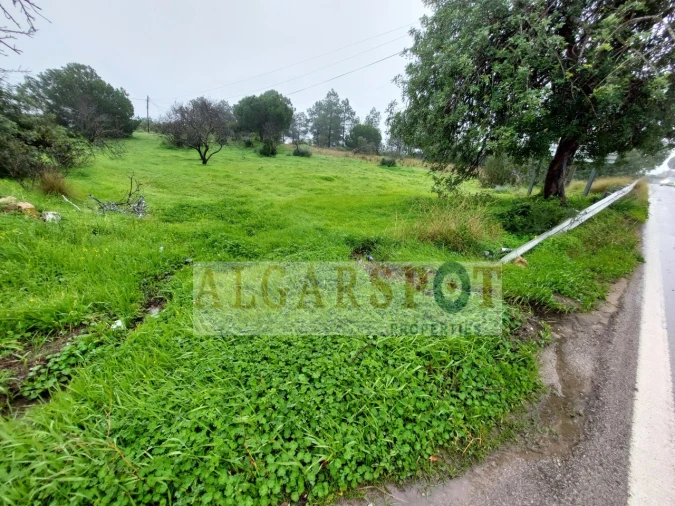 Terreno para Venda em Loule (São Sebastião) Foto 1