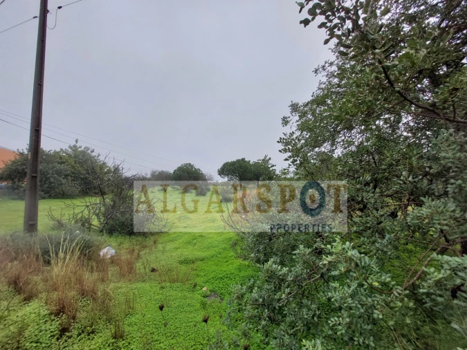 Terreno para Venda em Loule (São Sebastião) Foto 6