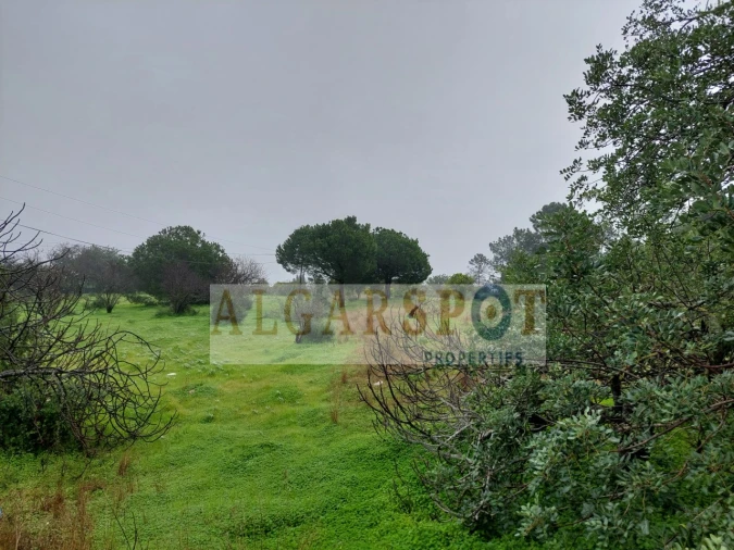 Terreno para Venda em Loule (São Sebastião) Foto 8