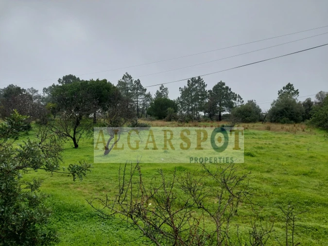 Terreno para Venda em Loule (São Sebastião) Foto 9