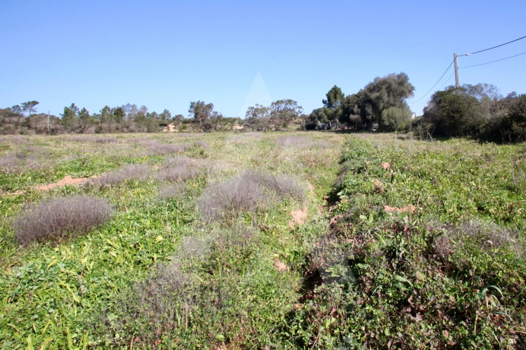 Terreno Misto para Venda em Aljezur Foto 29