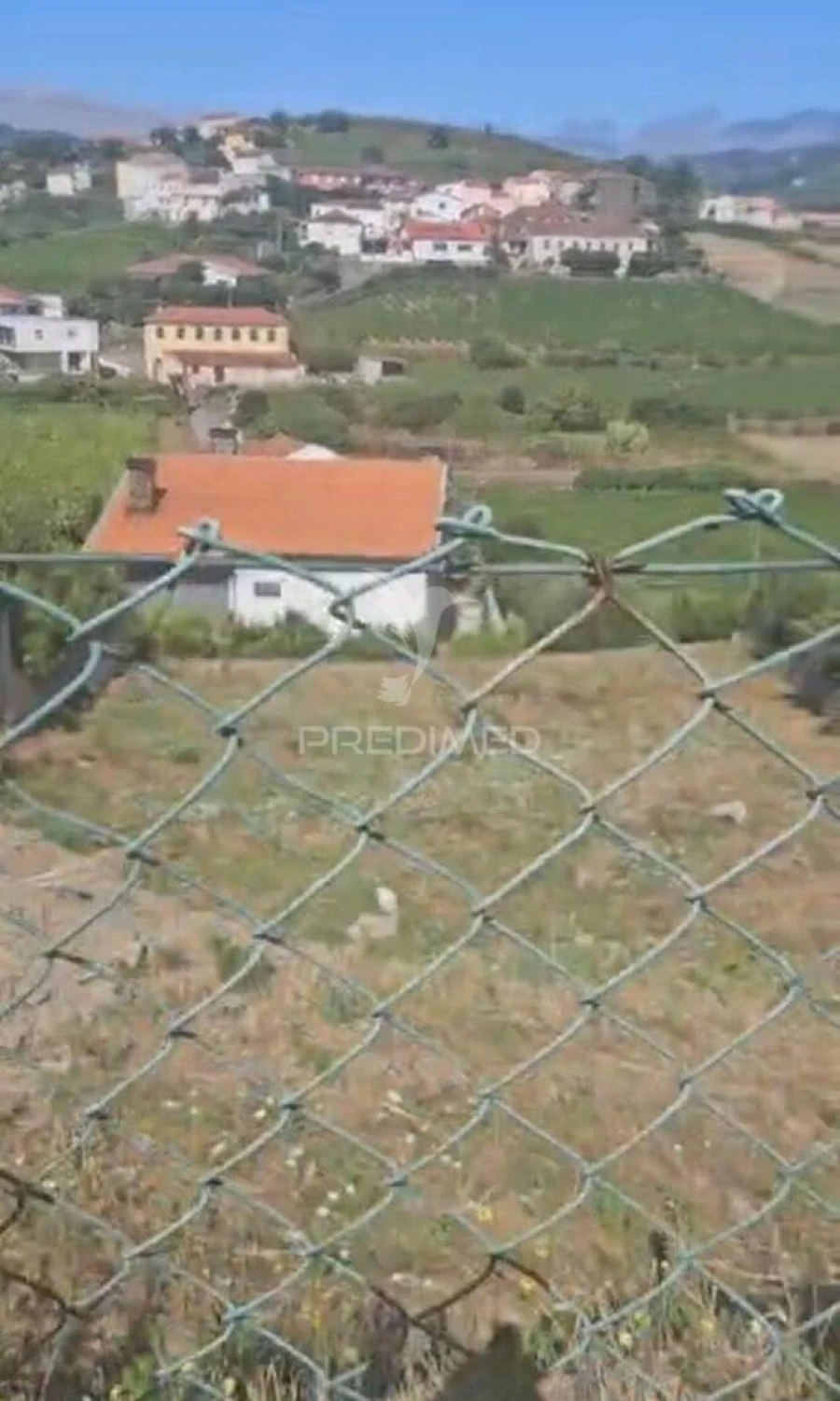 Terreno para Venda em Lobrigos (São Miguel e São João Baptista) e Sanhoane Foto 5