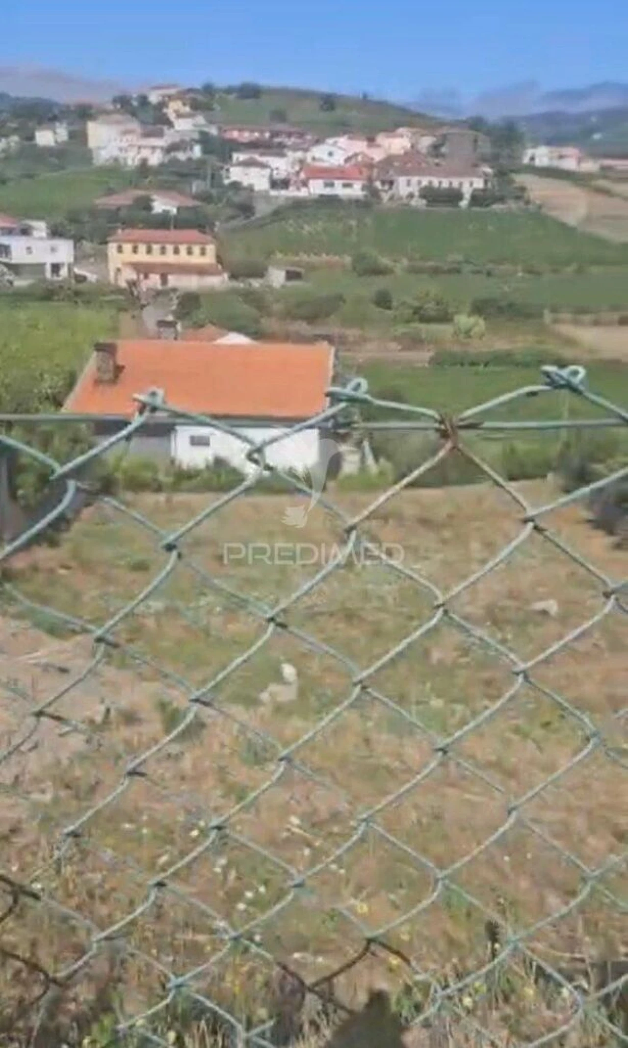 Terreno para Venda em Lobrigos (São Miguel e São João Baptista) e Sanhoane Foto 5