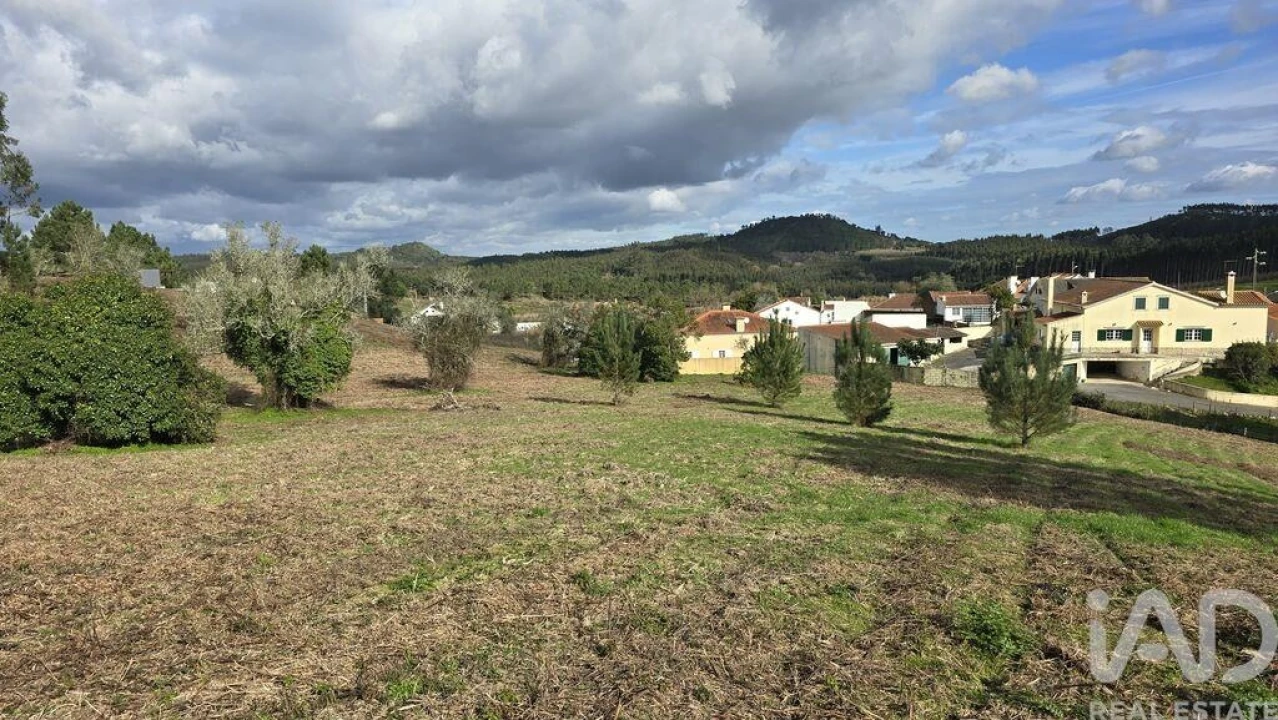 Terreno para Venda em Lamas e Cercal Foto 8