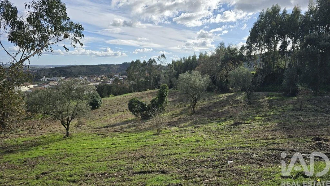 Terreno para Venda em Lamas e Cercal Foto 5