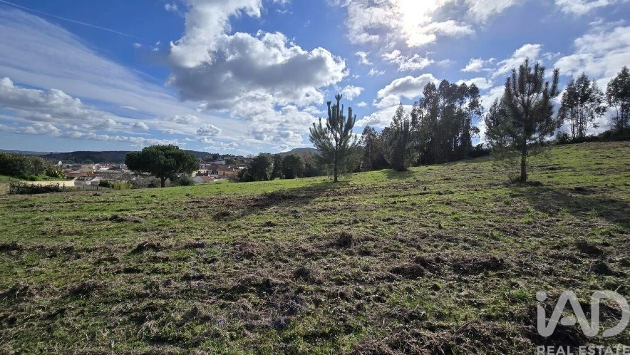 Terreno para Venda em Lamas e Cercal Foto 2