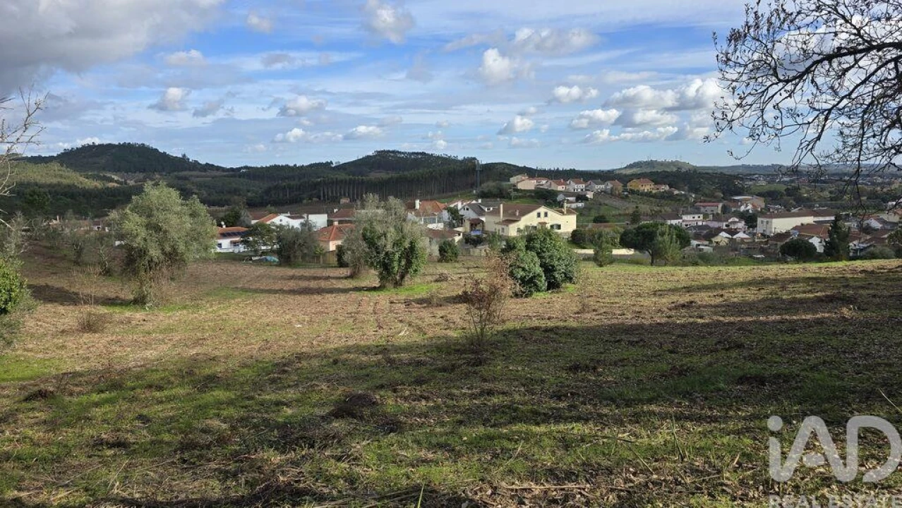 Terreno para Venda em Lamas e Cercal Foto 12