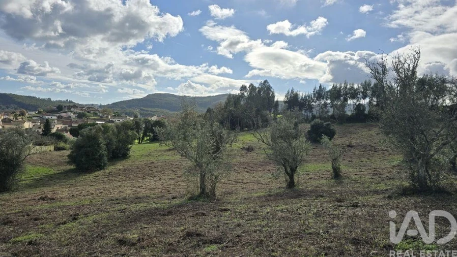 Terreno para Venda em Lamas e Cercal Foto 13
