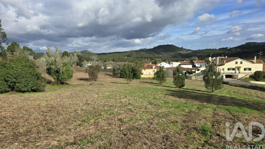 Terreno para Venda em Lamas e Cercal Foto 8