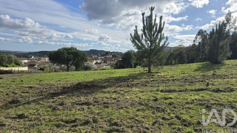Terreno para Venda em Lamas e Cercal Foto 10