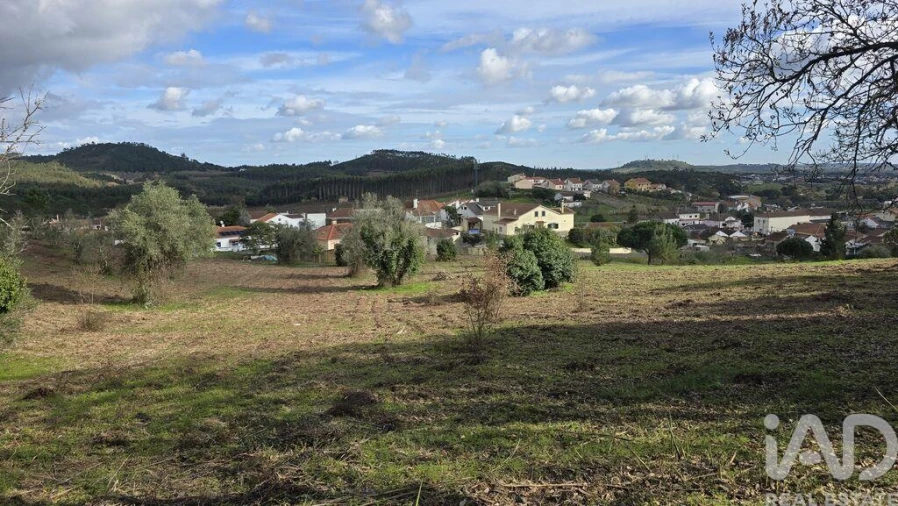 Terreno para Venda em Lamas e Cercal Foto 12