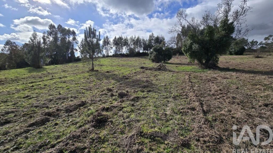 Terreno para Venda em Lamas e Cercal Foto 11