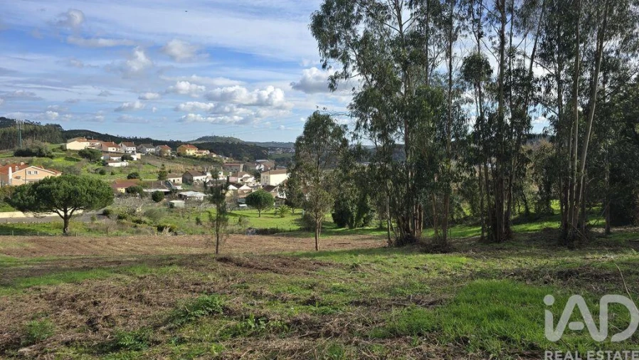 Terreno para Venda em Lamas e Cercal Foto 9