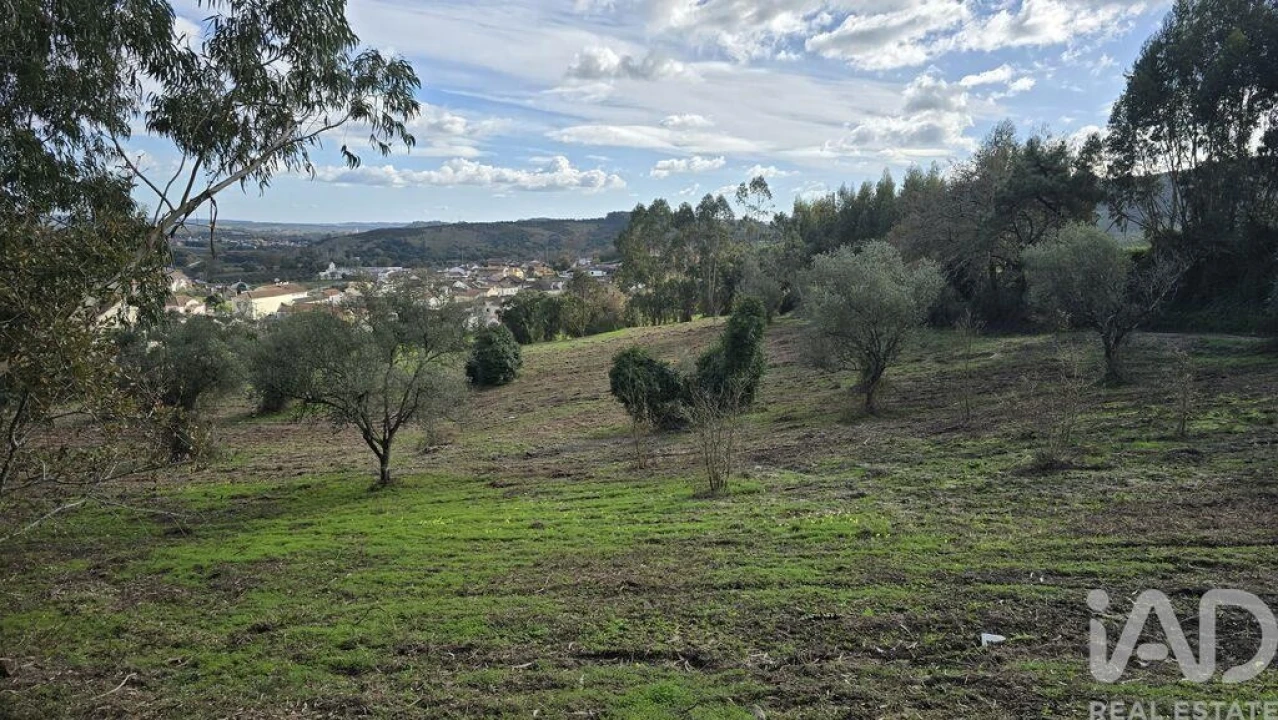 Terreno para Venda em Lamas e Cercal Foto 6