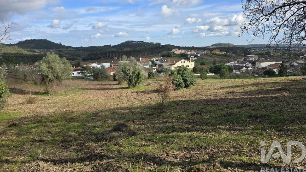 Terreno para Venda em Lamas e Cercal Foto 4