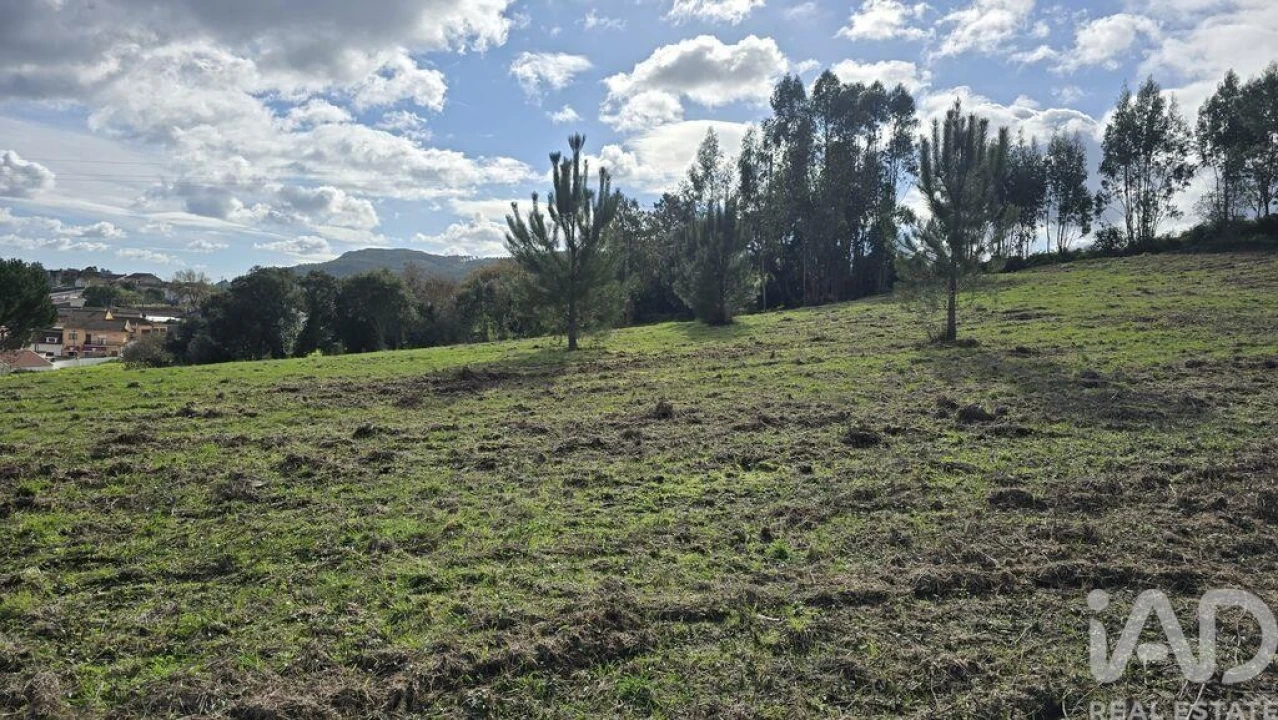 Terreno para Venda em Lamas e Cercal Foto 3