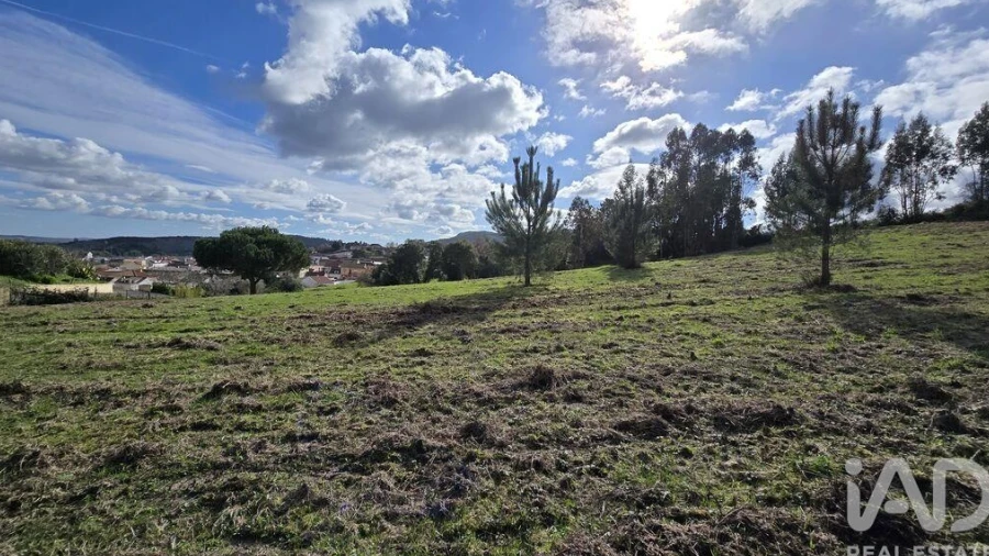 Terreno para Venda em Lamas e Cercal