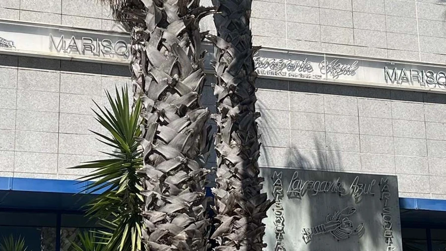 Armazém para Venda em Vialonga